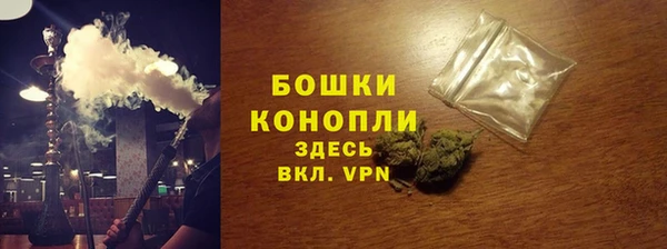 амф Арсеньев