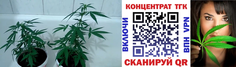 Дистиллят ТГК концентрат Углич